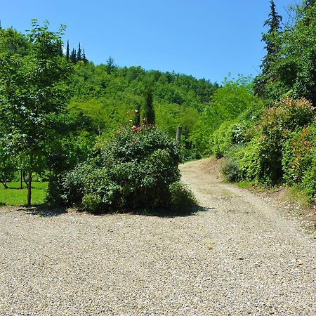 Antico Pastificio Aparthotel Greve in Chianti Luaran gambar