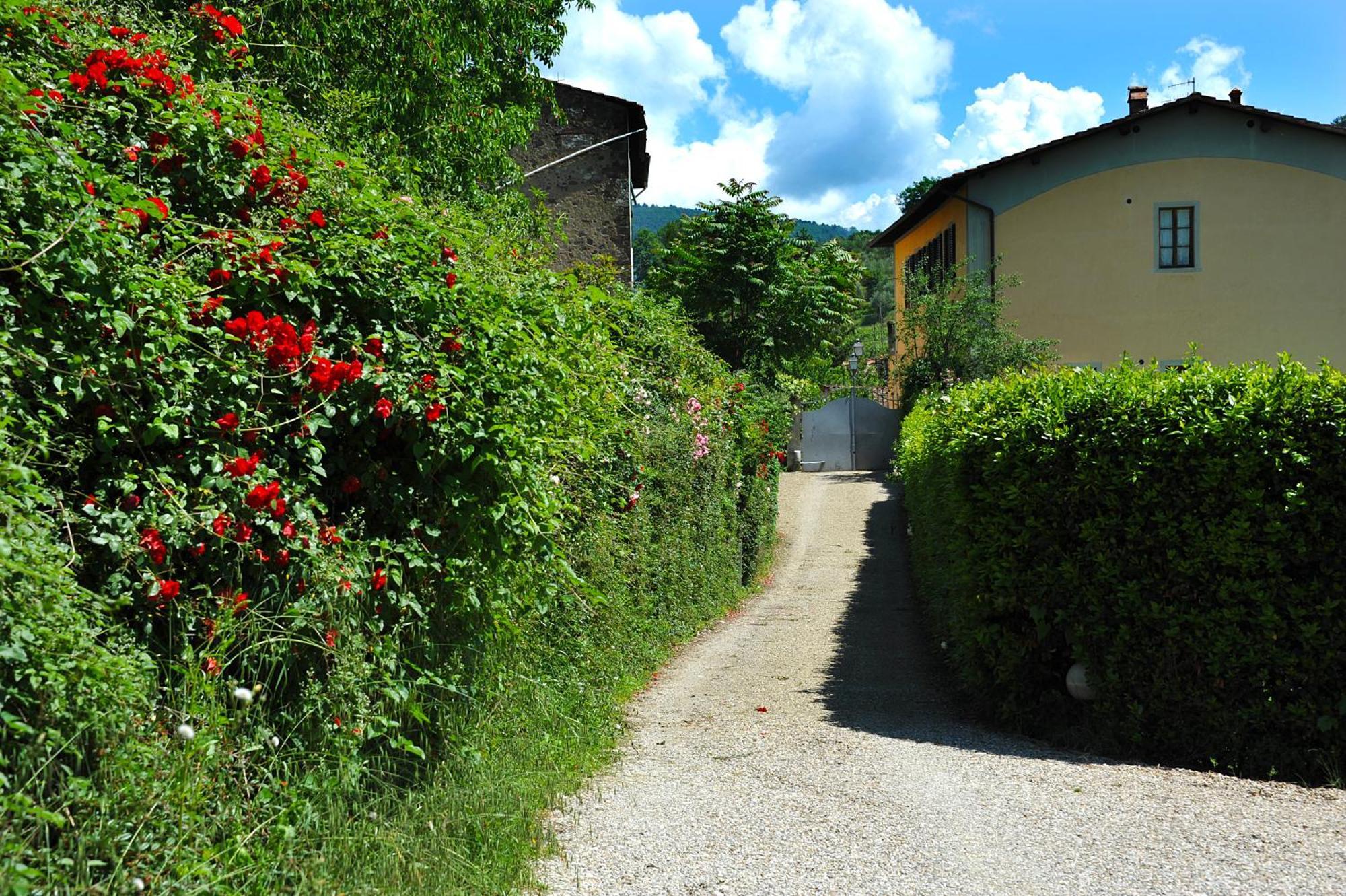 Antico Pastificio Aparthotel Greve in Chianti Luaran gambar